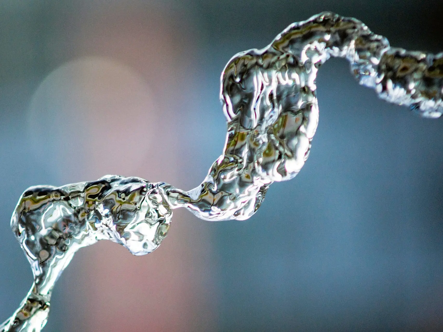 water drops on gray tree branch